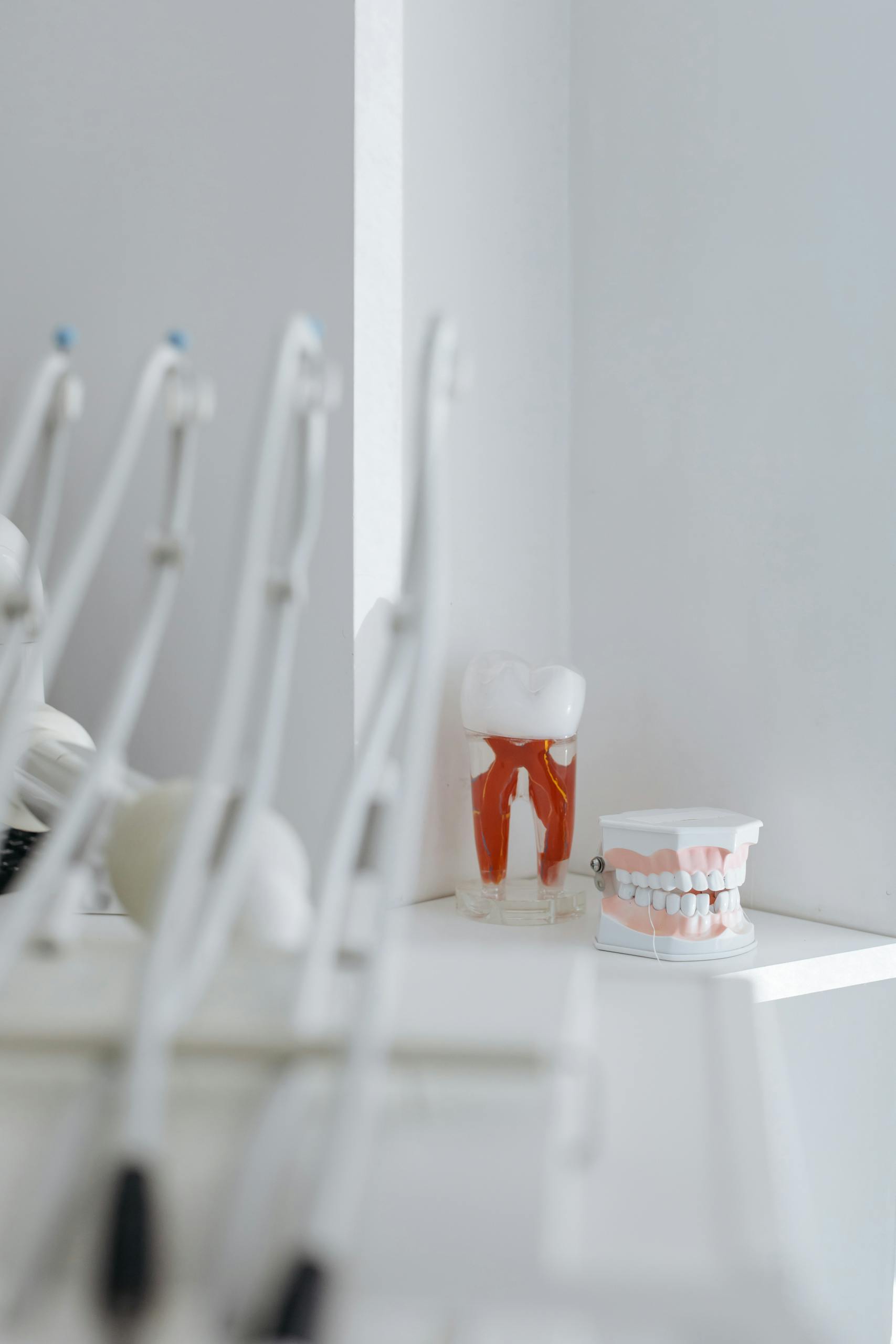 Close-up of dental tools and anatomical models in a well-lit clinic, highlighting oral hygiene and dentistry concepts.